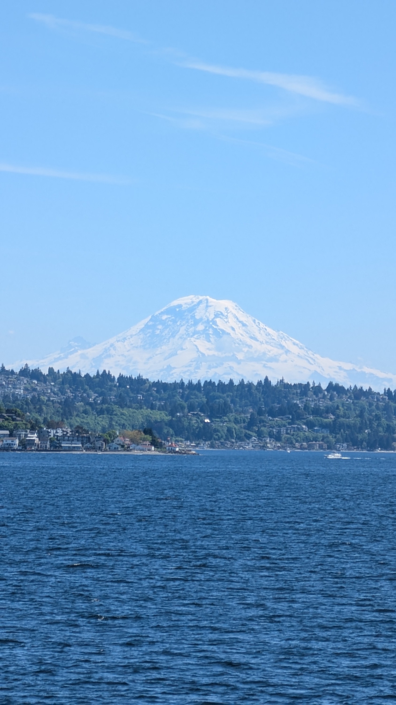 Mount Rainier over a wooded Puget Sound shoreline on a clear day